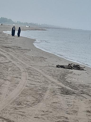 چونچنان