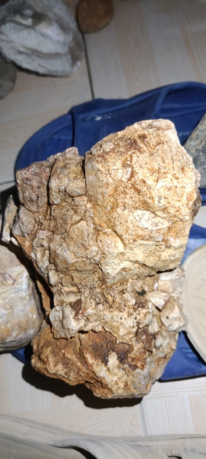 عکس موزه جانور شناسی