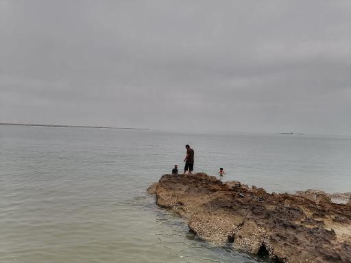 عکس شناگاه لیپار