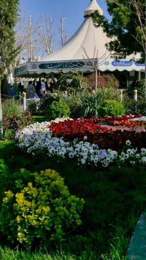 عکس چایخانه حرم  امام رضا