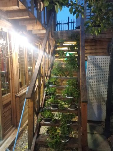 عکس رستوران چوبی ژوان