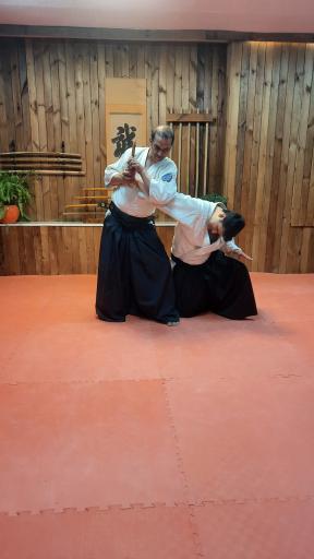 عکس آکادمی آیکیدو ایران