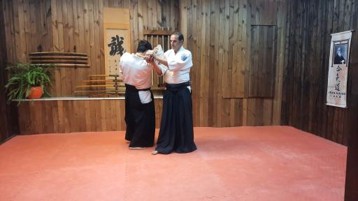 عکس آکادمی آیکیدو ایران