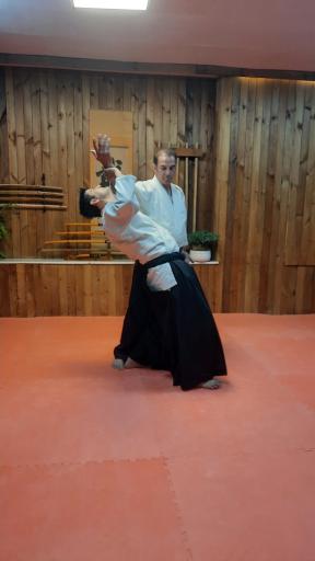 عکس آکادمی آیکیدو ایران