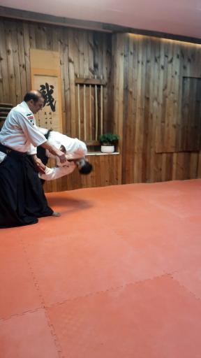 عکس آکادمی آیکیدو ایران