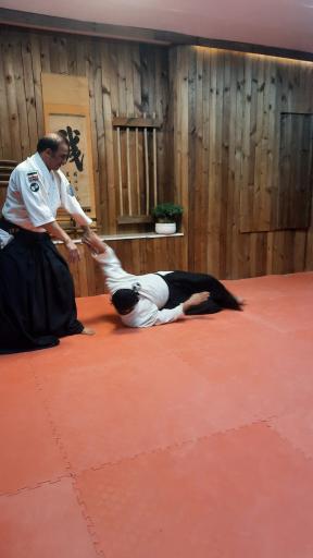 عکس آکادمی آیکیدو ایران