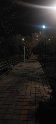 عکس بوستان گل نرگس