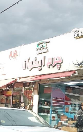 عکس چرم ایگوانا