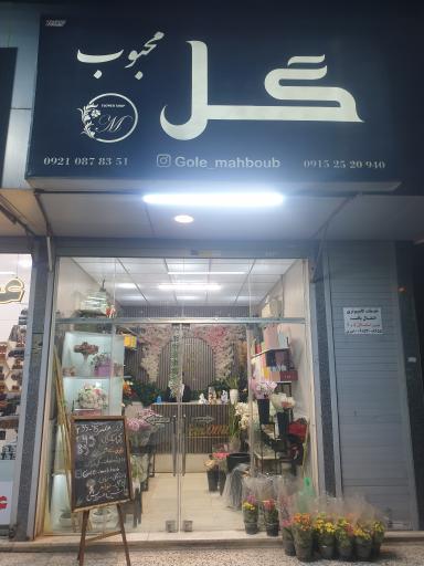 عکس گالری گل محبوب