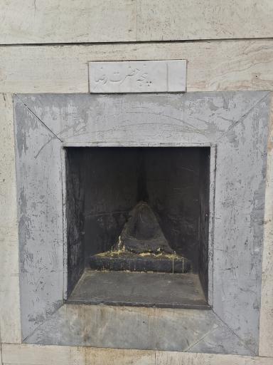 عکس پنجه حضرت رضا علیه السلام