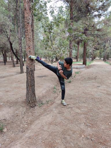 عکس پارک جنگلی شهید باهنر کرمان