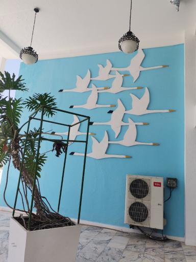 عکس هتل بزرگ سفید کنار