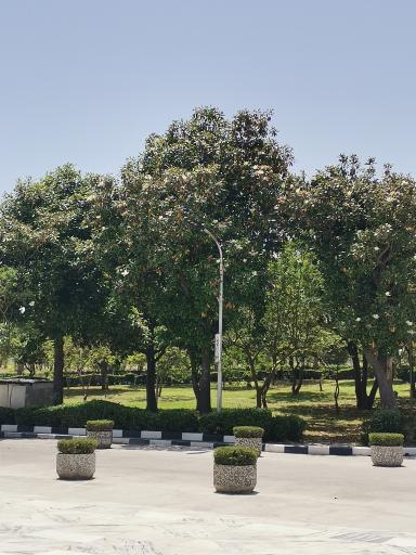 عکس هتل بزرگ سفید کنار