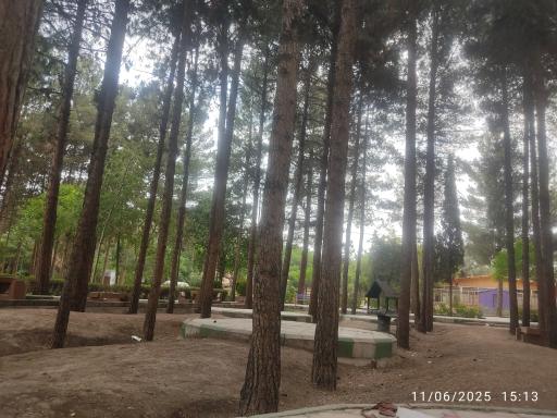 عکس پارک جنگلی شهید باهنر کرمان