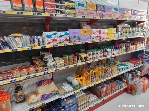 عکس دهکده پروتئین نثاری