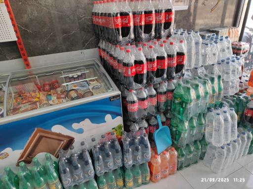 عکس دهکده پروتئین نثاری