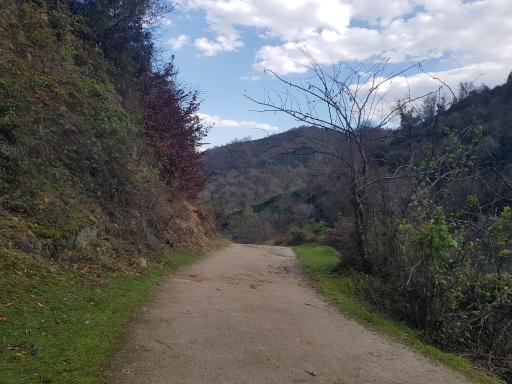 عکس لیلا کوه لنگرود