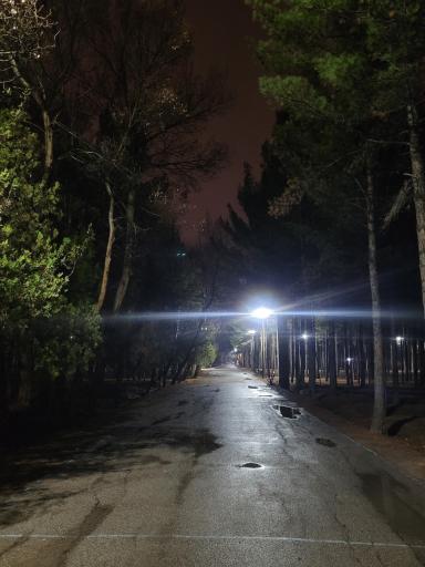 عکس بوستان جنگلی شهید باهنر کرمان