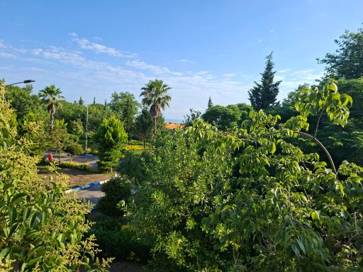 عکس هتل بزرگ سفید کنار