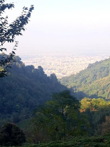 عکس لیلا کوه لنگرود