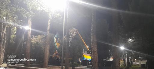 عکس پارک جنگلی شهید باهنر کرمان