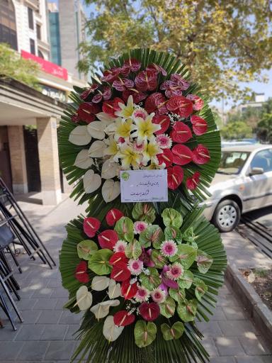 عکس گل سلطان 