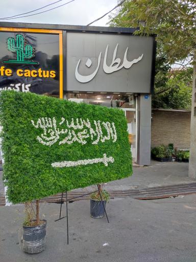 گل سلطان 