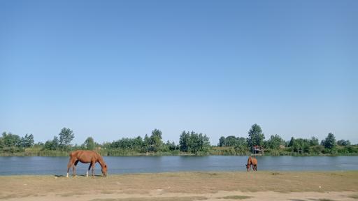 عکس پارک ملی بوجاق