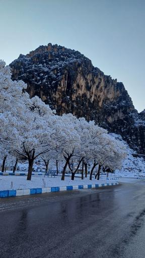 عکس آرامستان شهر مالخلیفه