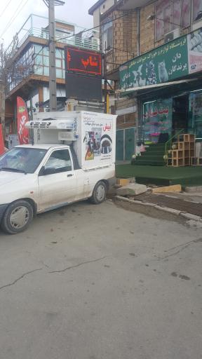 عکس پت شاپ شاهدانه
