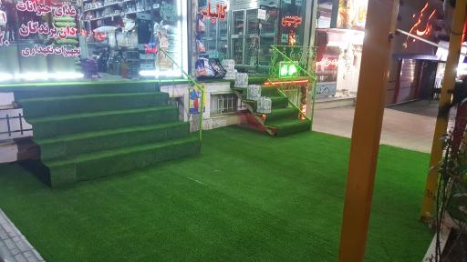عکس پت شاپ شاهدانه