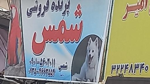 عکس پرنده فروشی شمس