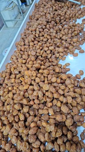 عکس خشکبار محسن