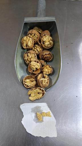 عکس خشکبار محسن