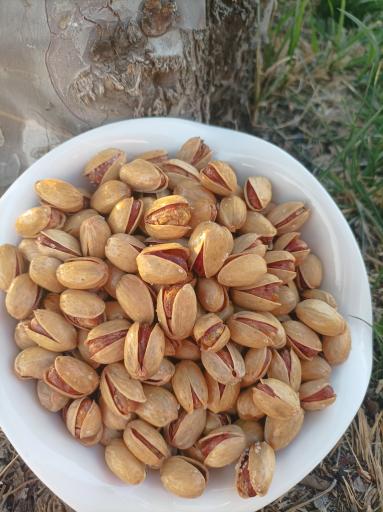 عکس خشکبار محسن