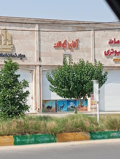 عکس آقای گوشت