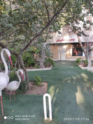 عکس مجموعه پزشکی فخر