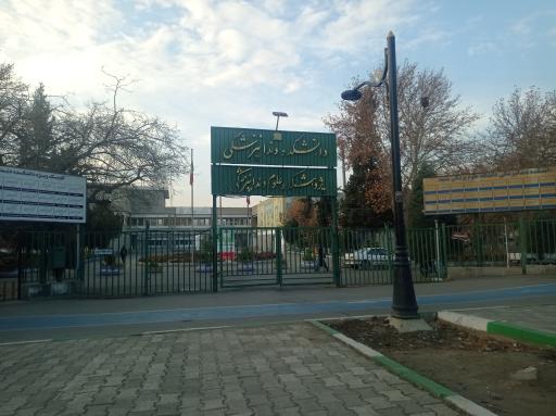 عکس دکتر سیده سارا رییس زاده