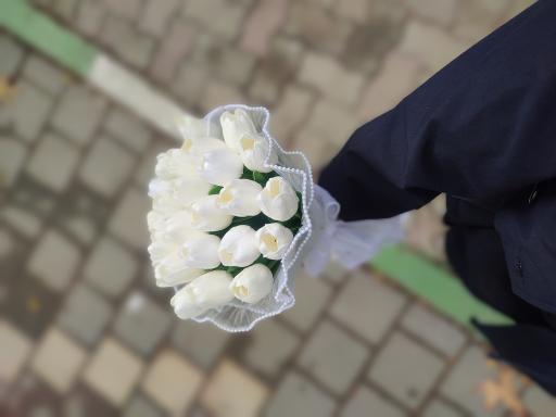 گل مینا