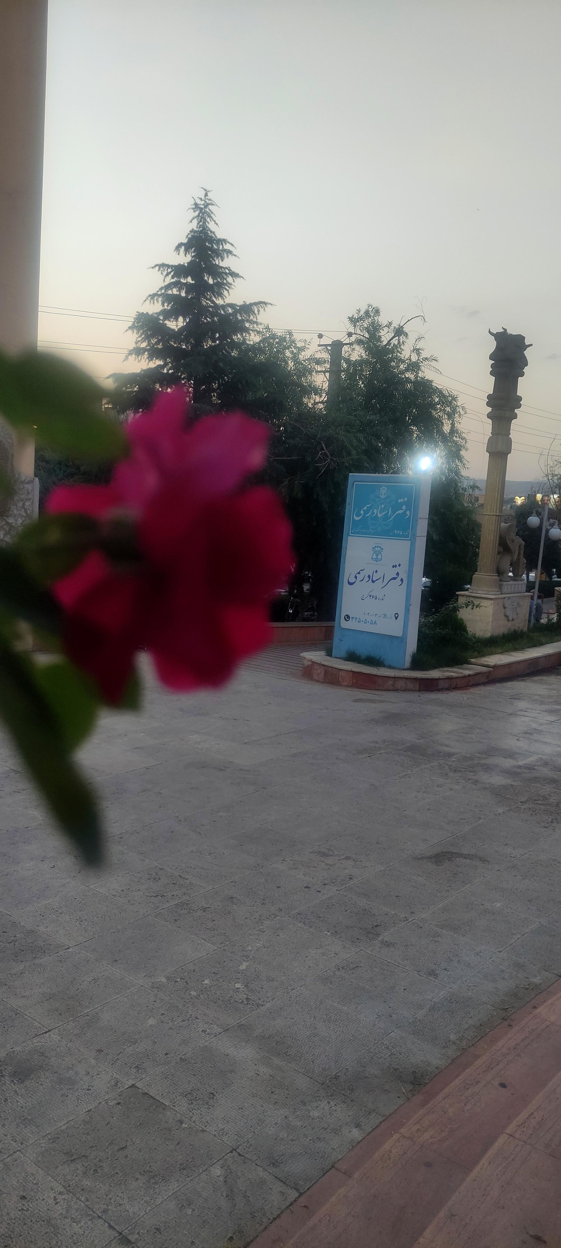 عکس دفتر اسناد رسمی 465 کرج