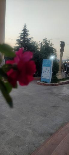 عکس دفتر اسناد رسمی 465 کرج