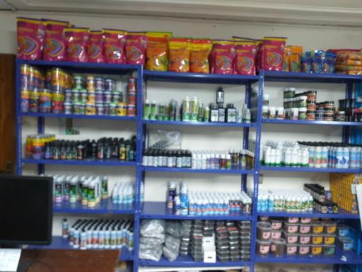 عکس آکواریوم آکوابی