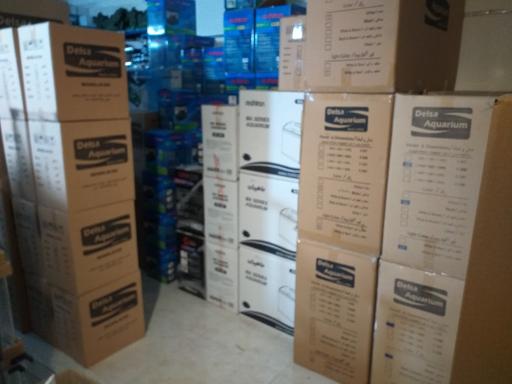 عکس آکواریوم آکوابی