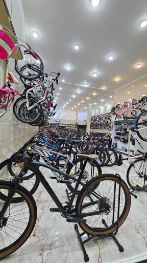 دوچرخه شرق جاینت اسکات، کفش اسکیچرز