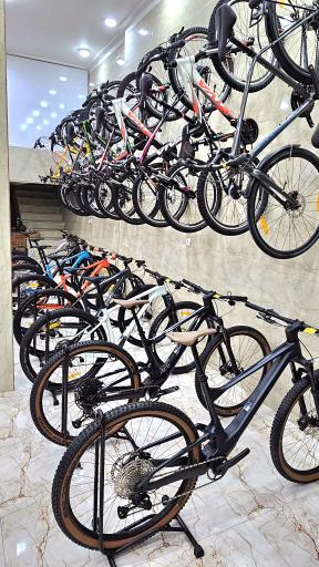 دوچرخه شرق جاینت اسکات، کفش اسکیچرز