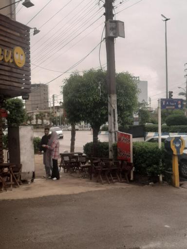 عکس پاچینی و مرغ بریانی ملچ مو