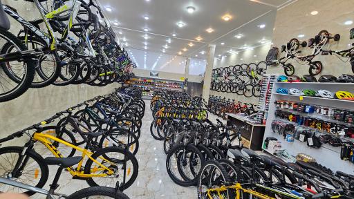 عکس دوچرخه شرق جاینت اسکات، کفش اسکیچرز