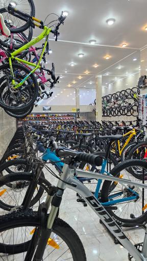 عکس دوچرخه شرق جاینت اسکات، کفش اسکیچرز