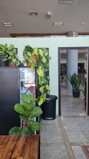 عکس رستوران ایستگاه راه‌آهن رشت