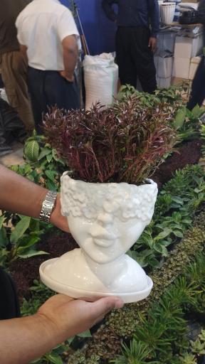 عکس گلسرای ژوان